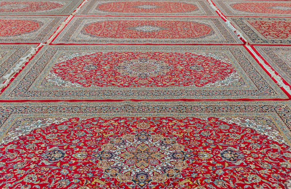 Photograph by mehrshad hassani