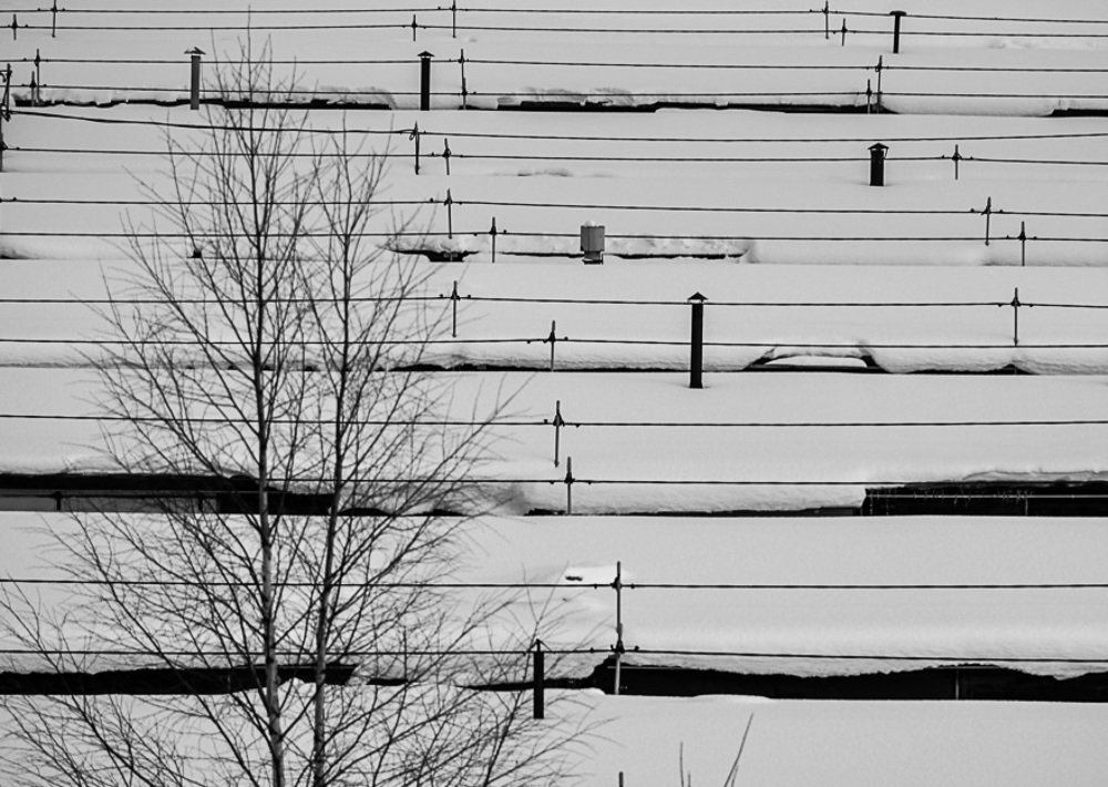 Photograph by Сергей Грато