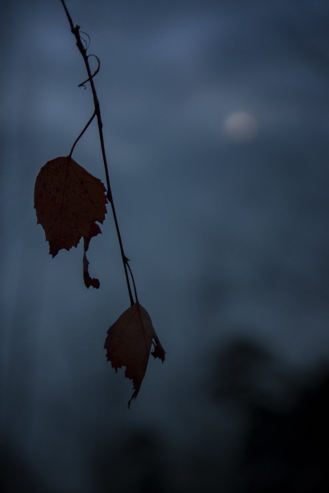 Photograph by Ершов Сергей