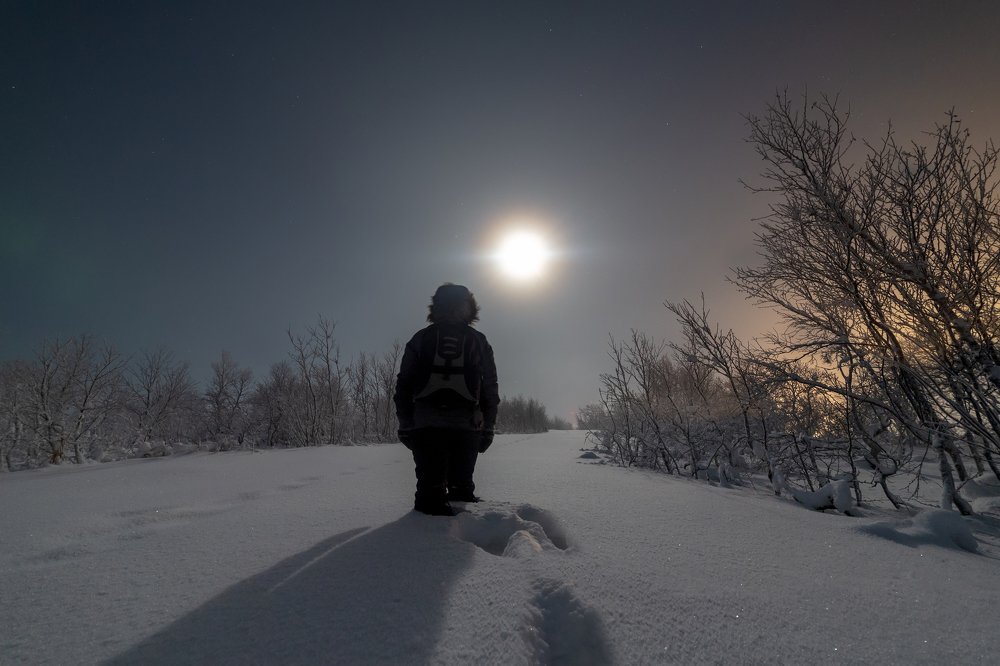 Полнолуние в зимнем лесу