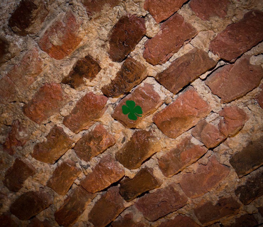 Photograph by Ольга Сафронова