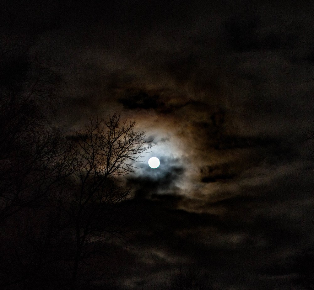 Photograph by Ольга Сафронова