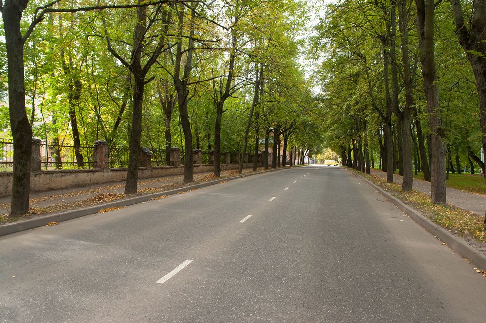 Photograph by Александр Бердыш