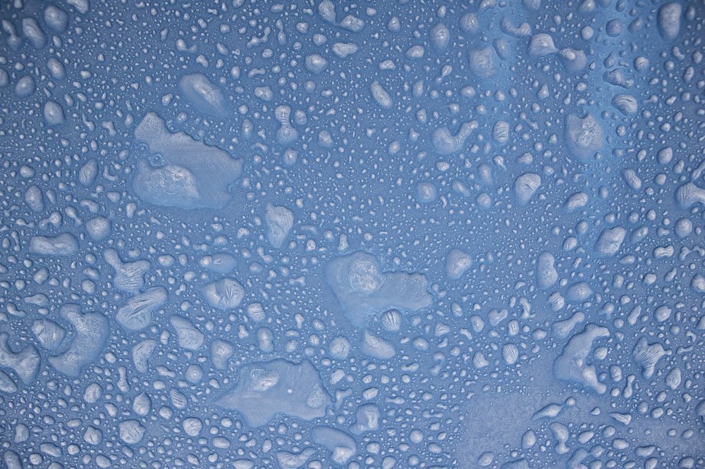 Photograph by Mihai Romeo Bogdan