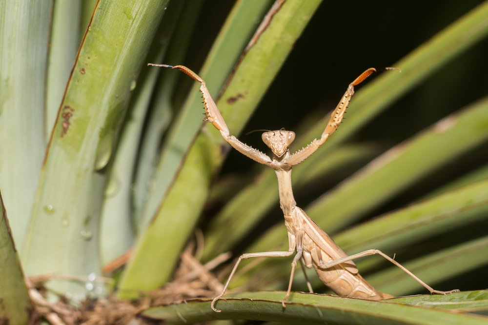Photograph by Дина Горбачёва