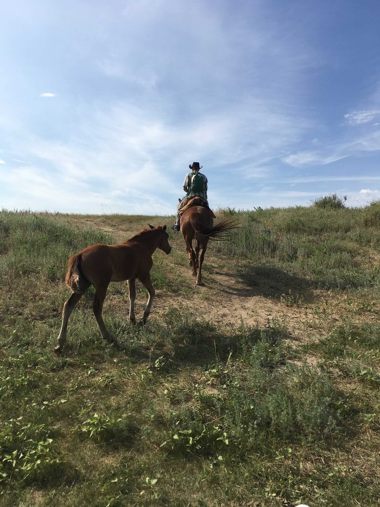 пора на пастбище