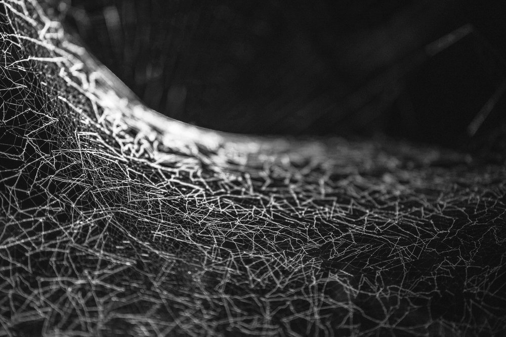 Photograph by Павел Орлов