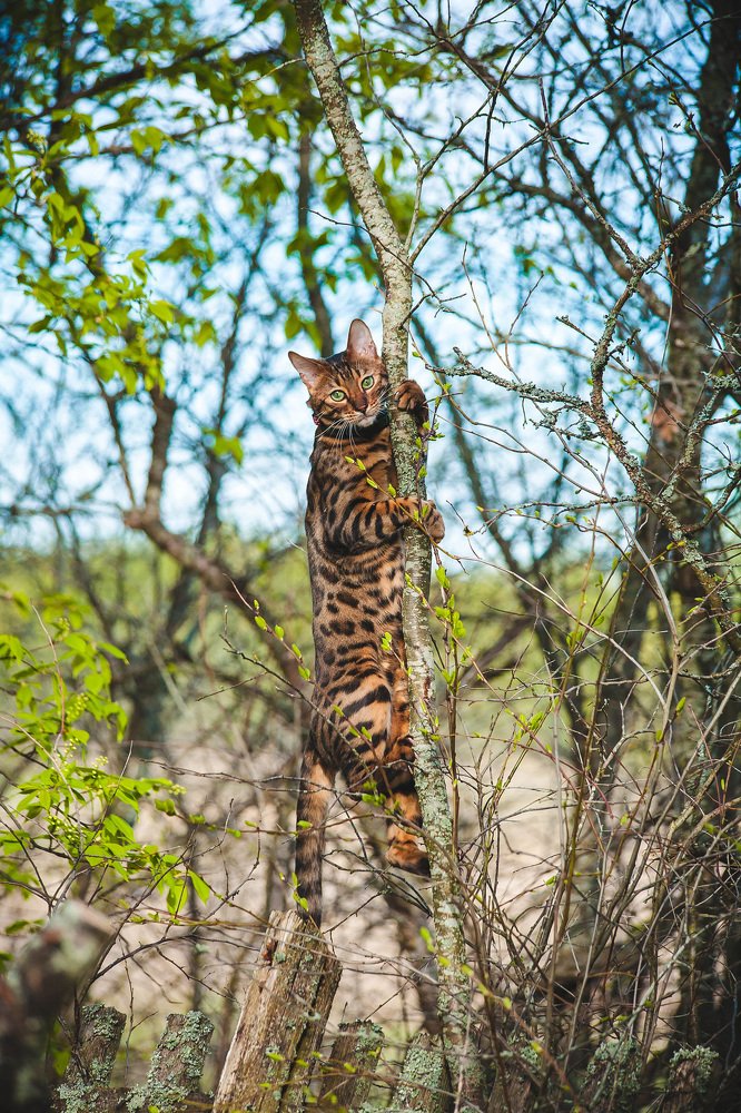 Photograph by Ольга Мурзина