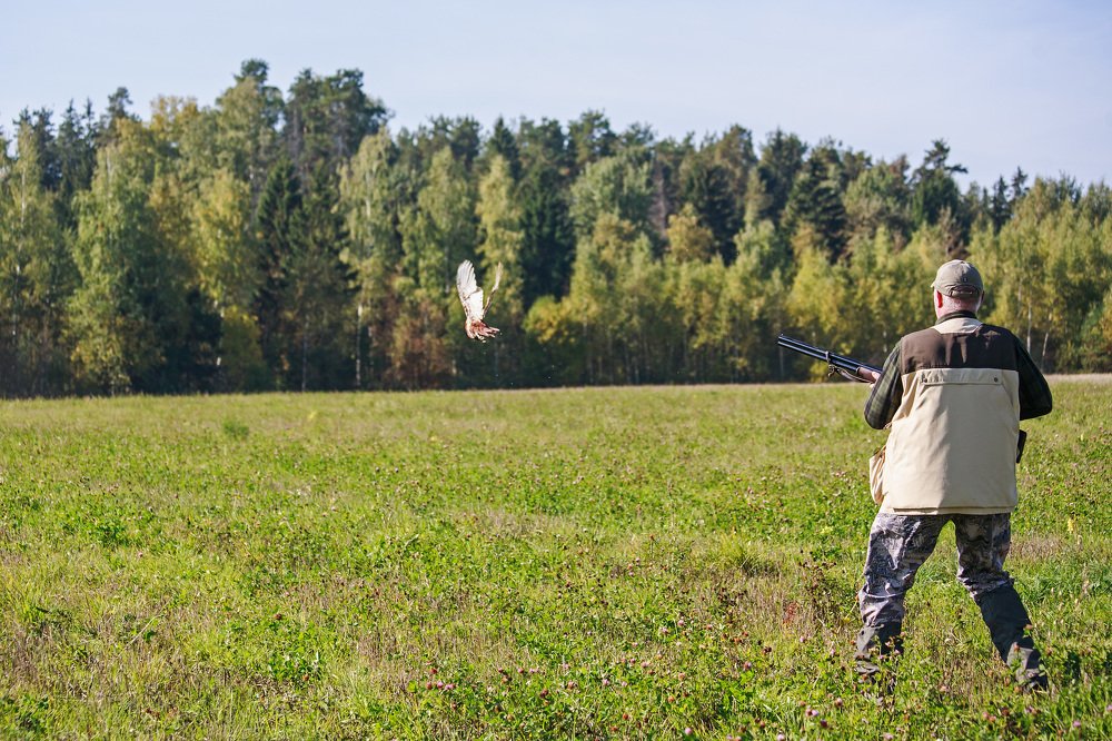 Photograph by Ольга Мурзина