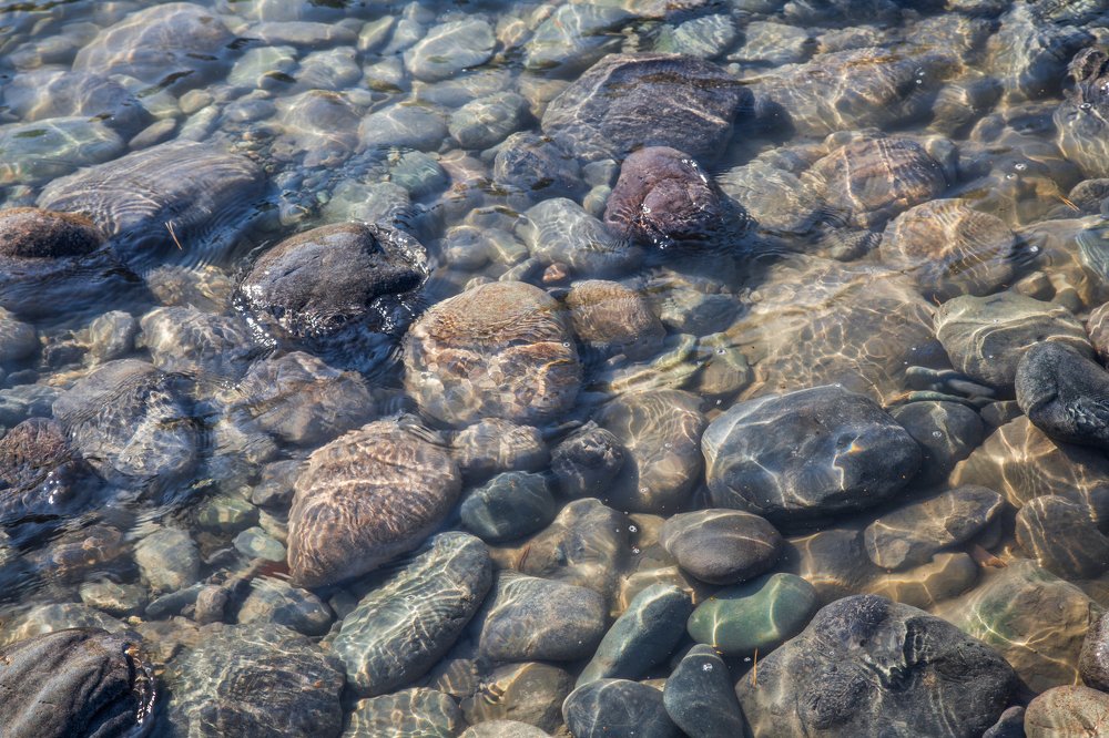 Photograph by Александр Лапшин