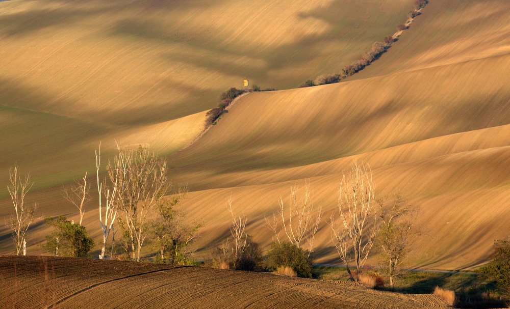 Фотография автора Aricha