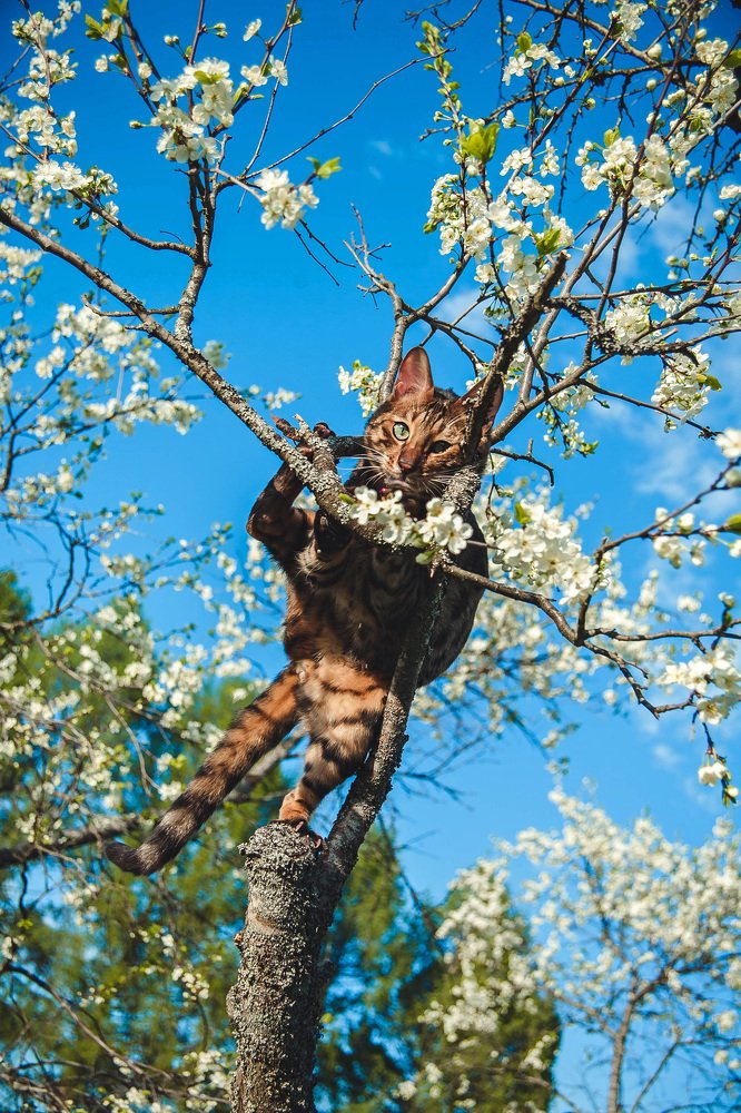 Photograph by Ольга Мурзина