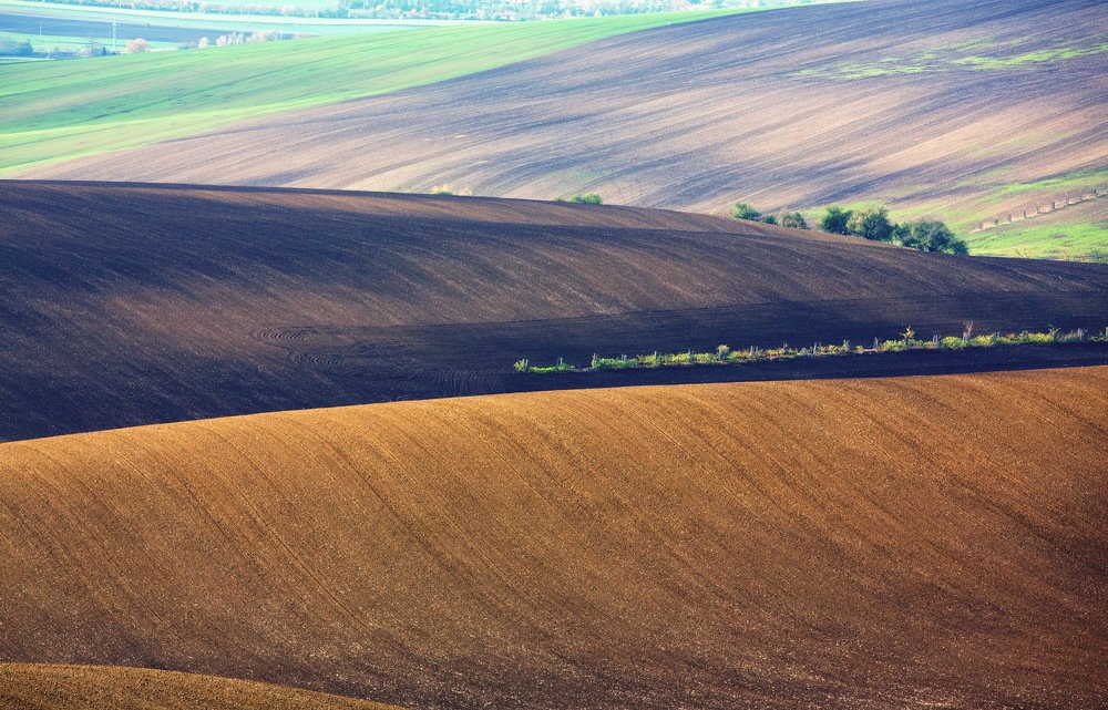 Фотография автора Aricha