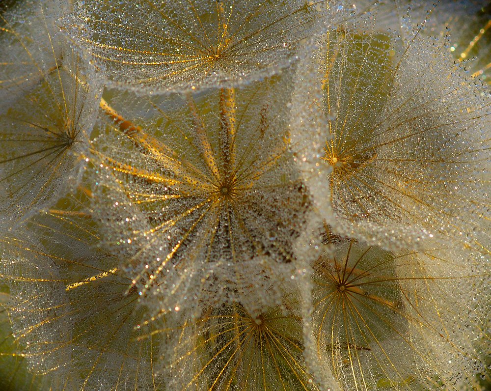 Хрустальный перезвон