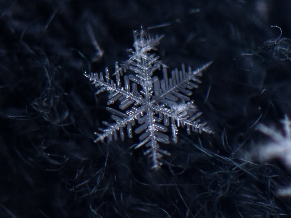 Photograph by Наталья Аржинт