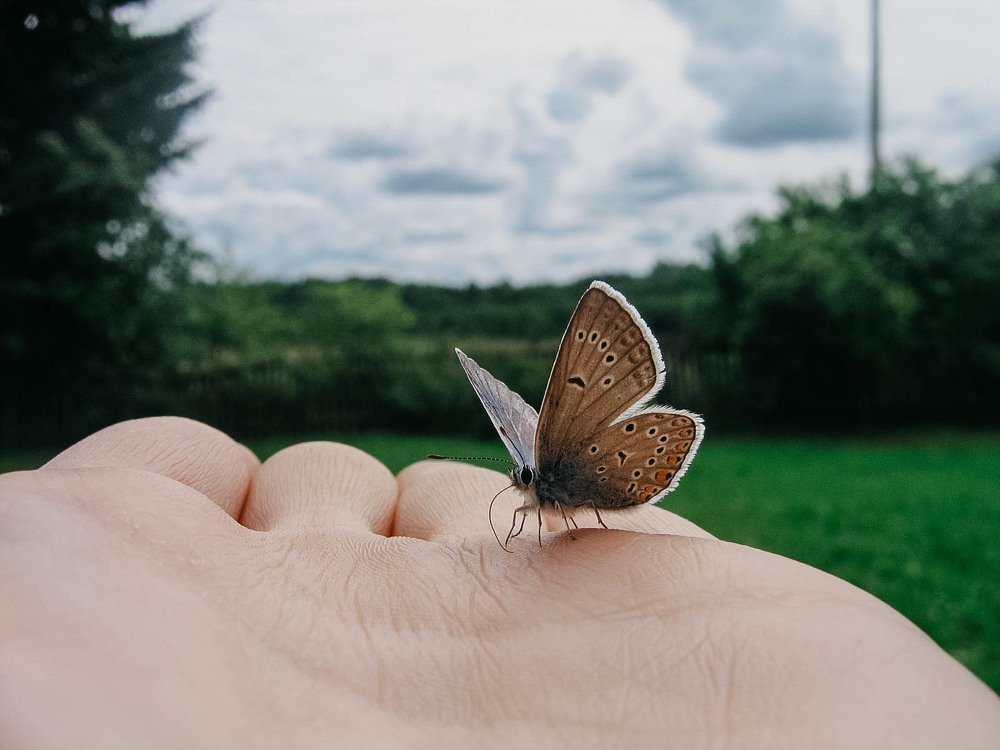 Photograph by Ольга Мурзина