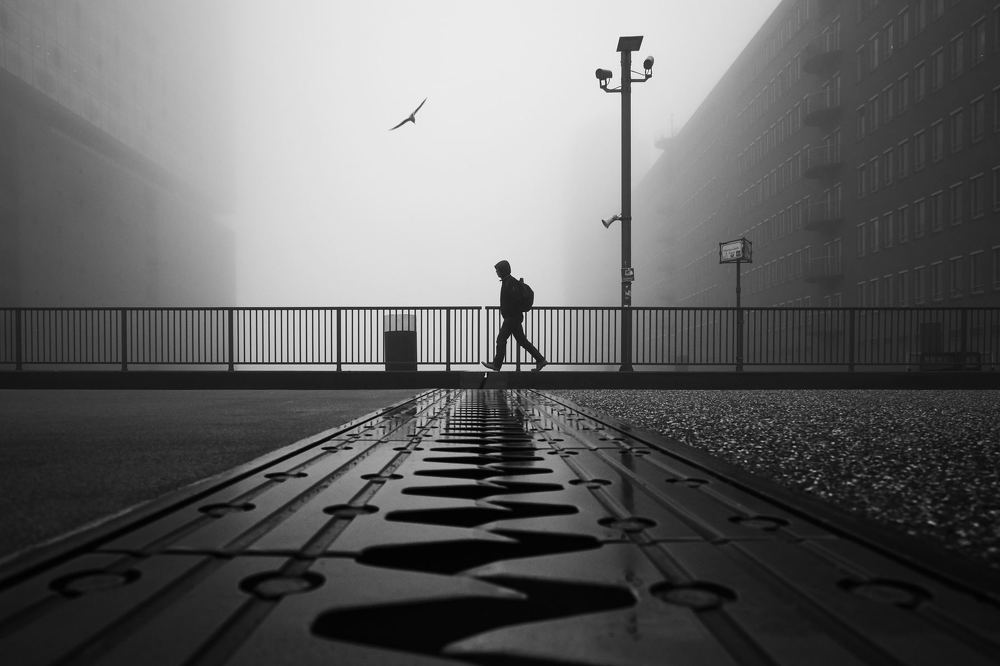 Фотография автора Alexander Schönberg