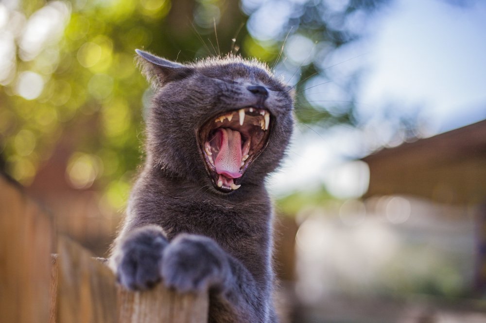 Photograph by Павел Орлов