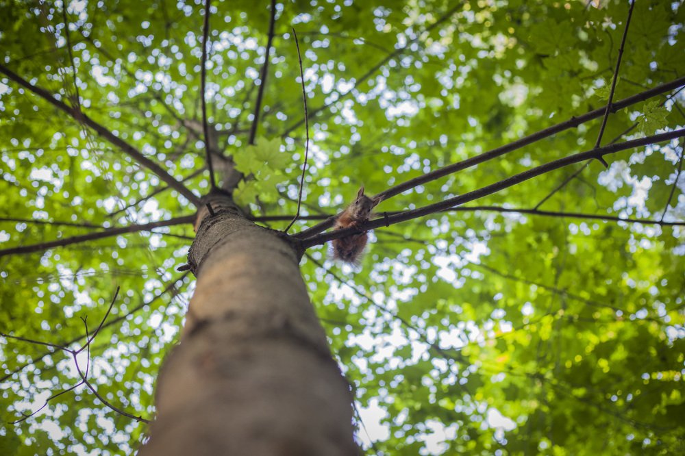 Photograph by Павел Орлов