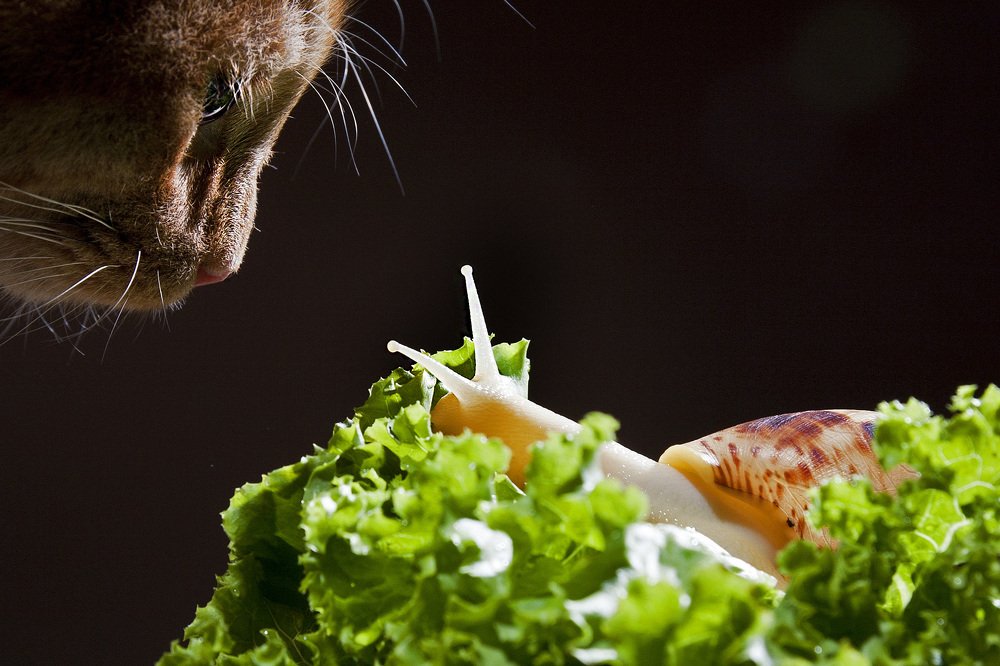 Photograph by Ольга Мурзина