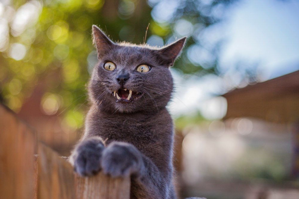 Photograph by Павел Орлов