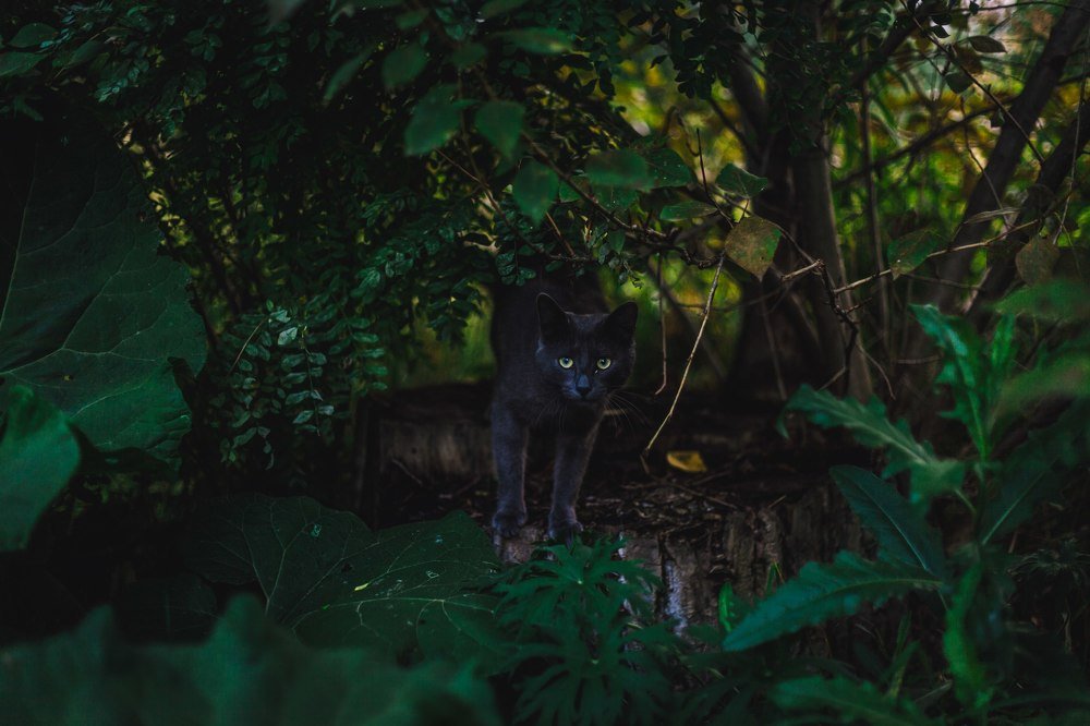 Photograph by Павел Орлов