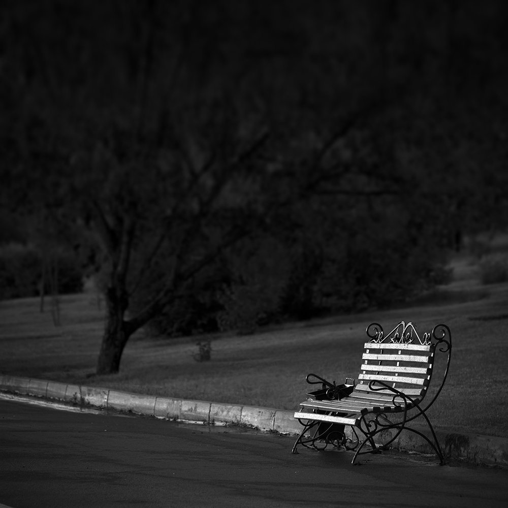 Этюд со скамейкой