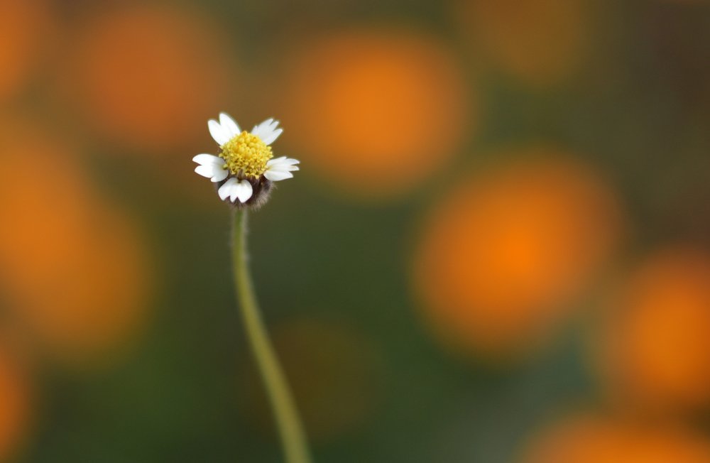 Photograph by Prabhu Viswanathan