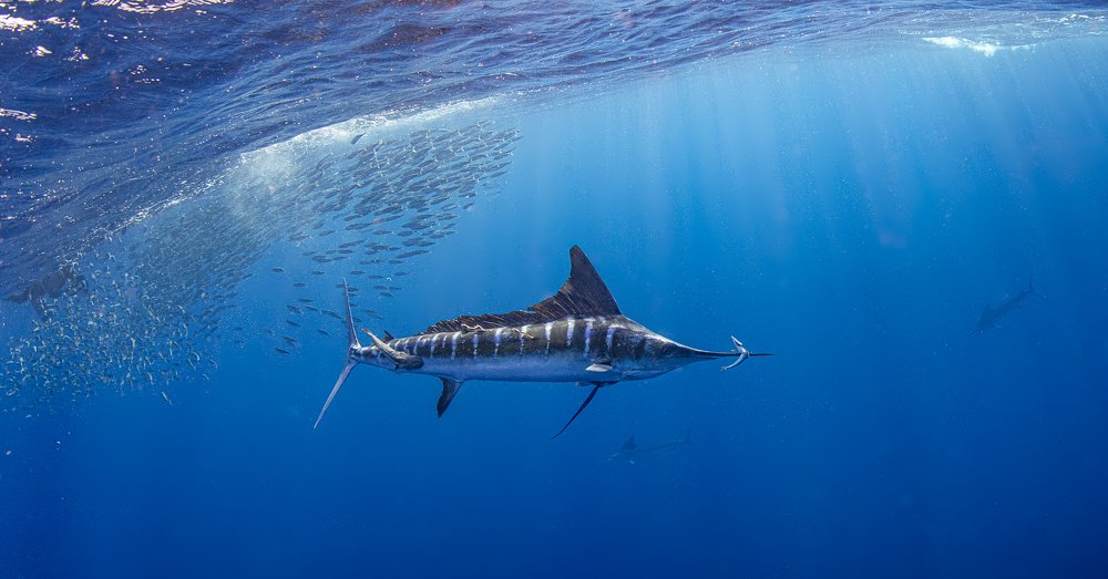 Photograph by Taeyup Kim