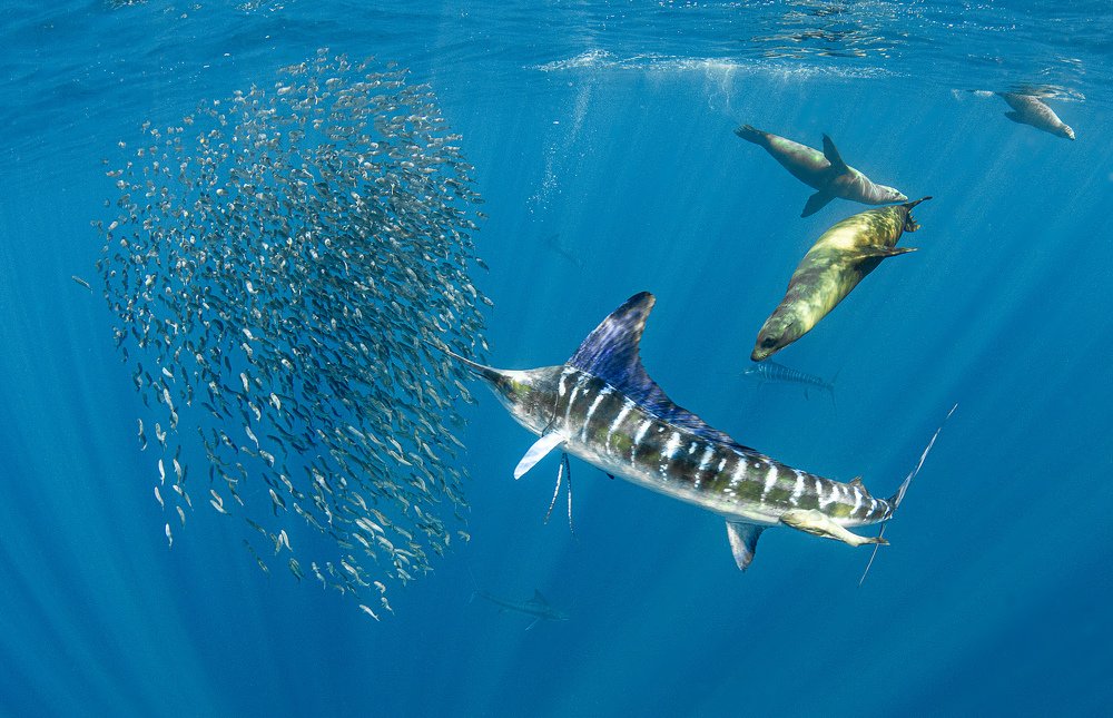 Photograph by Taeyup Kim