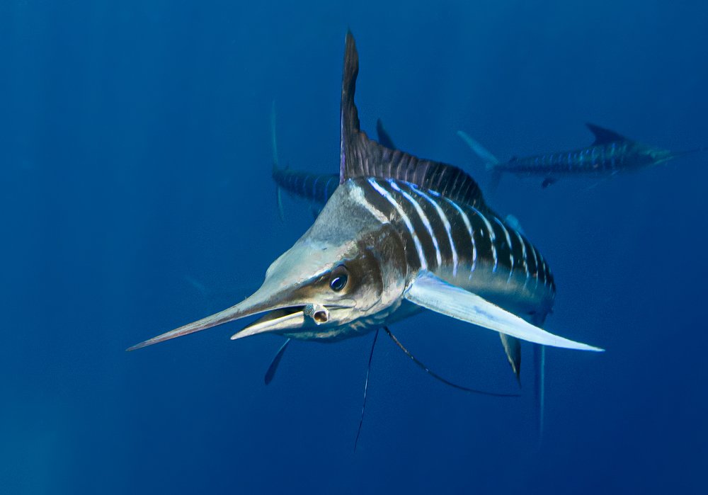 Photograph by Taeyup Kim