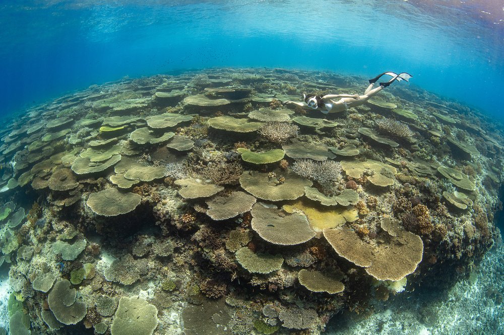 Photograph by Taeyup Kim