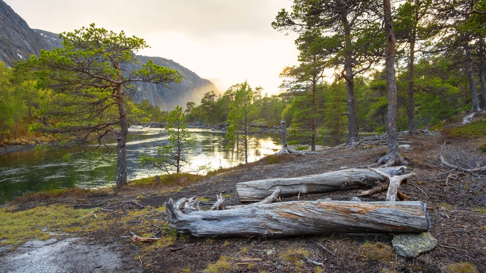 Photograph by Светлана Краюшкина