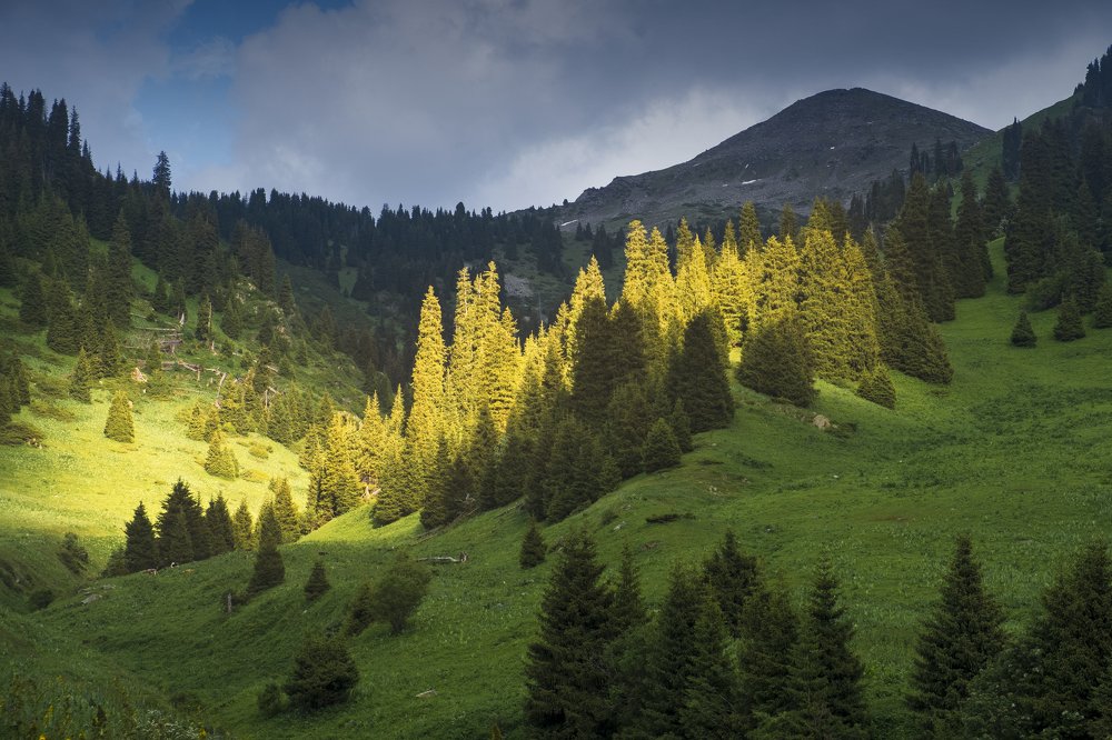 Photograph by Светлана Краюшкина