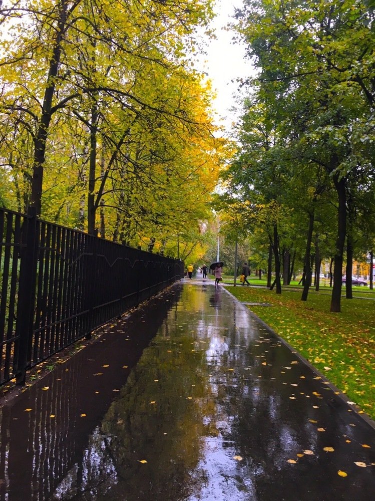 Два настроения.