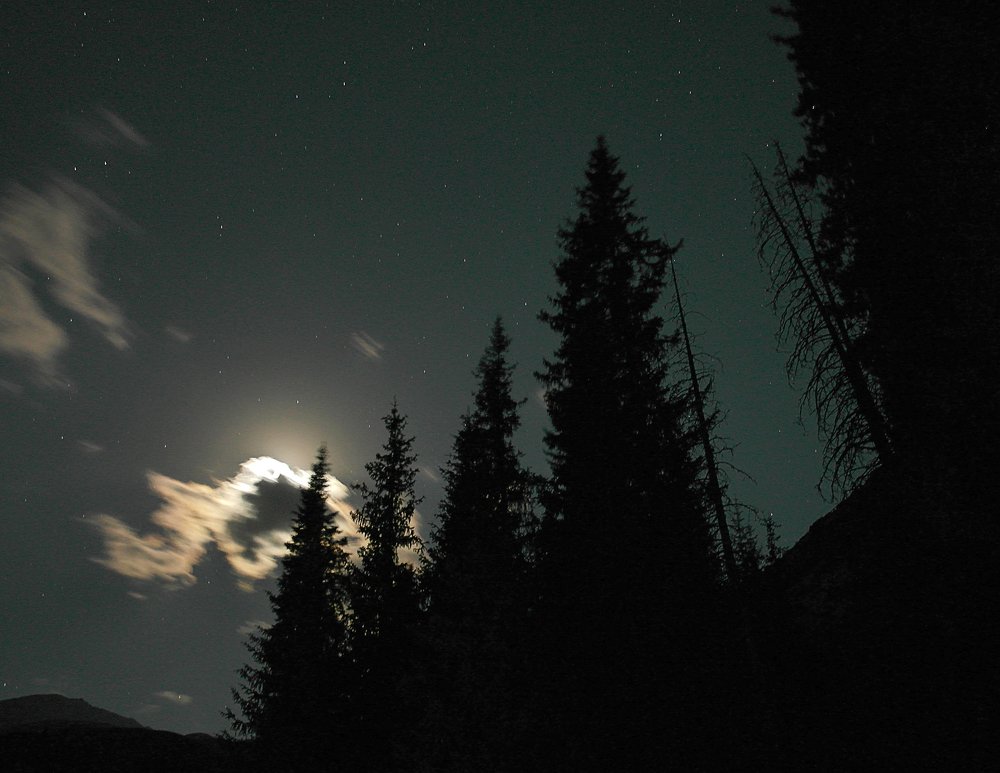 Photograph by Борис Тасов