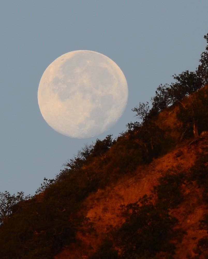 Фотография автора  Александр