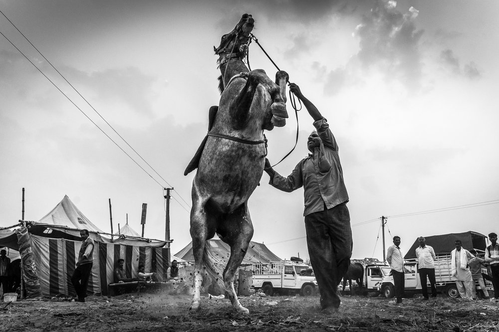 Photograph by Ping Ping Choo