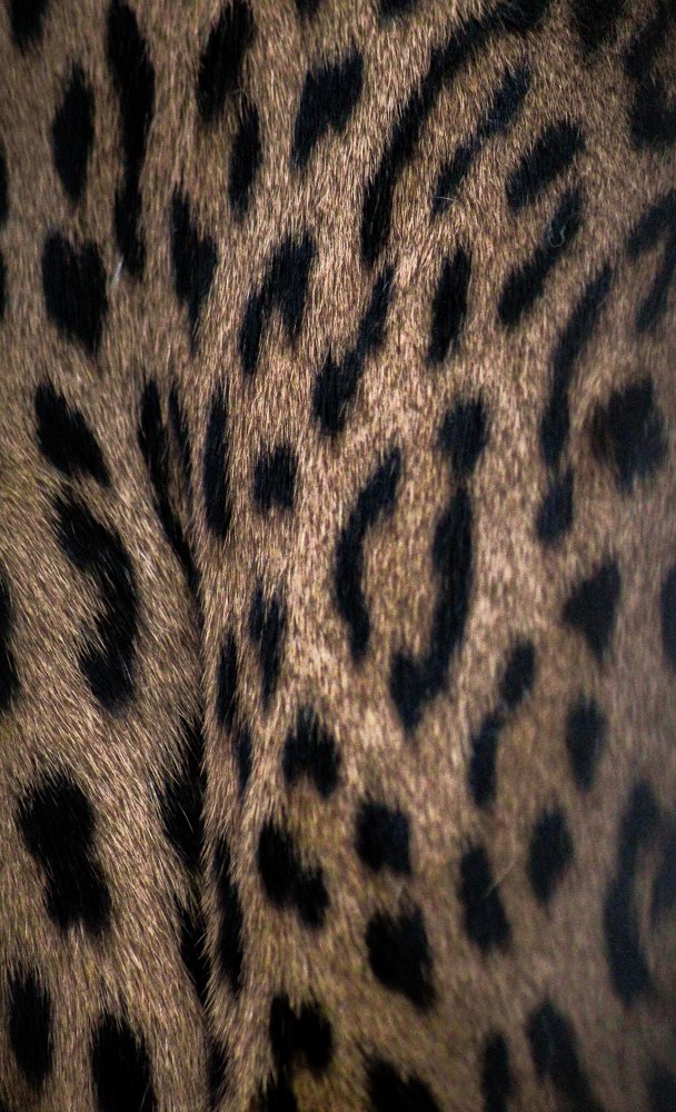 Photograph by Atul mehta