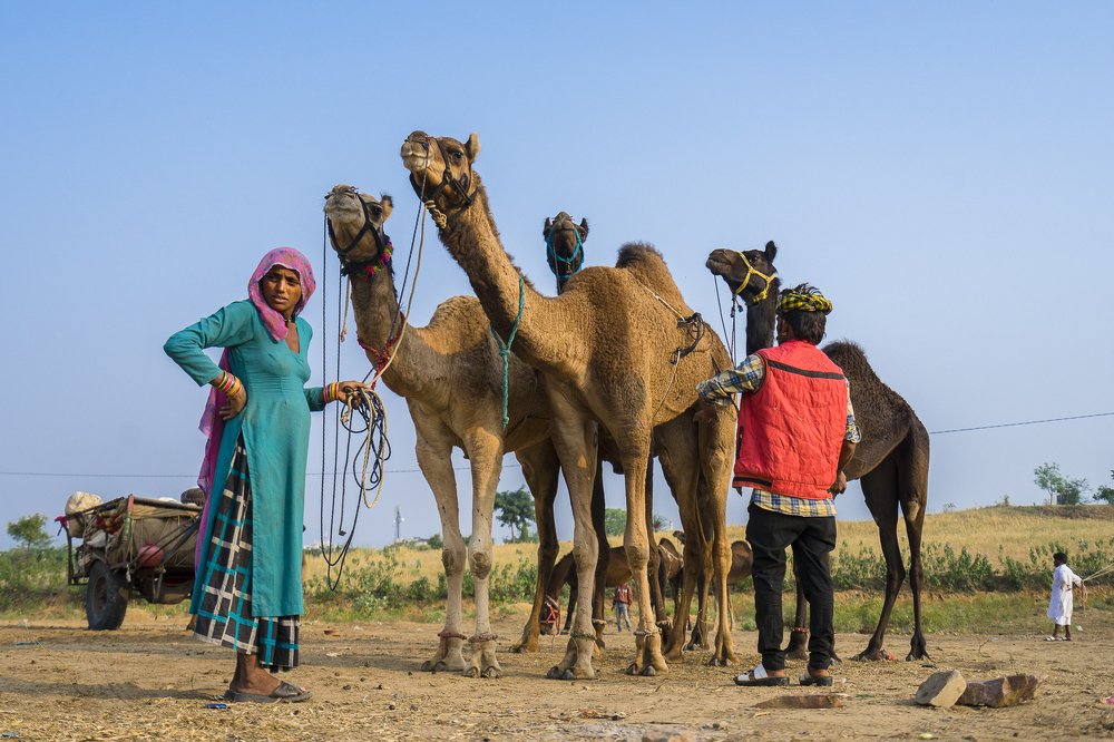 Photograph by Ping Ping Choo