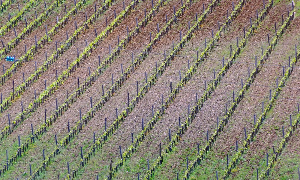 Фотография автора Андрей Симонов