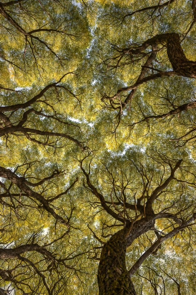 " Под небом голубым..."