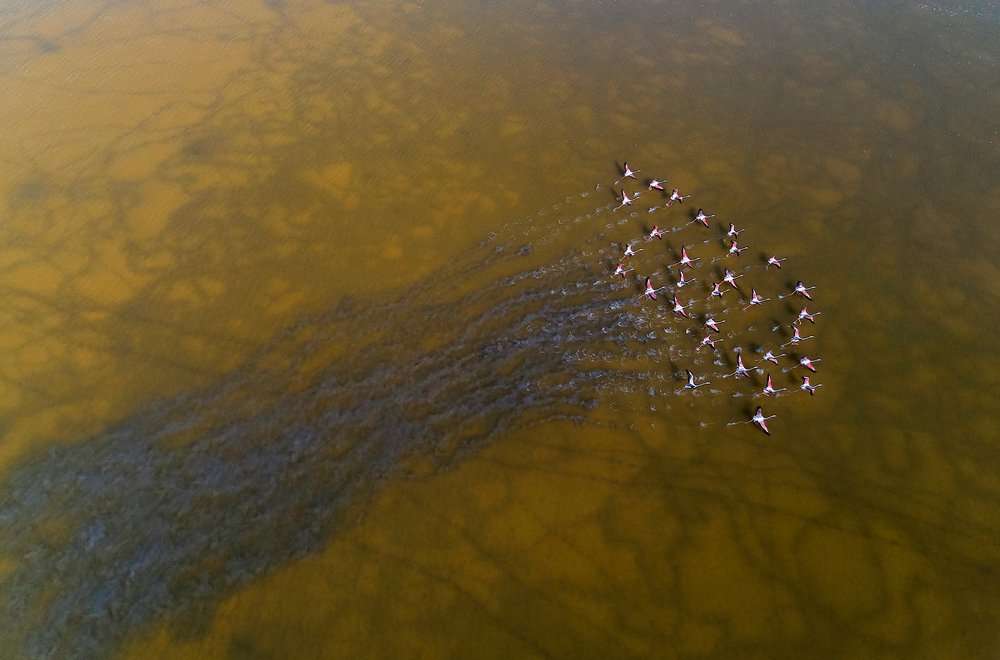 Photograph by Boris Bekelman