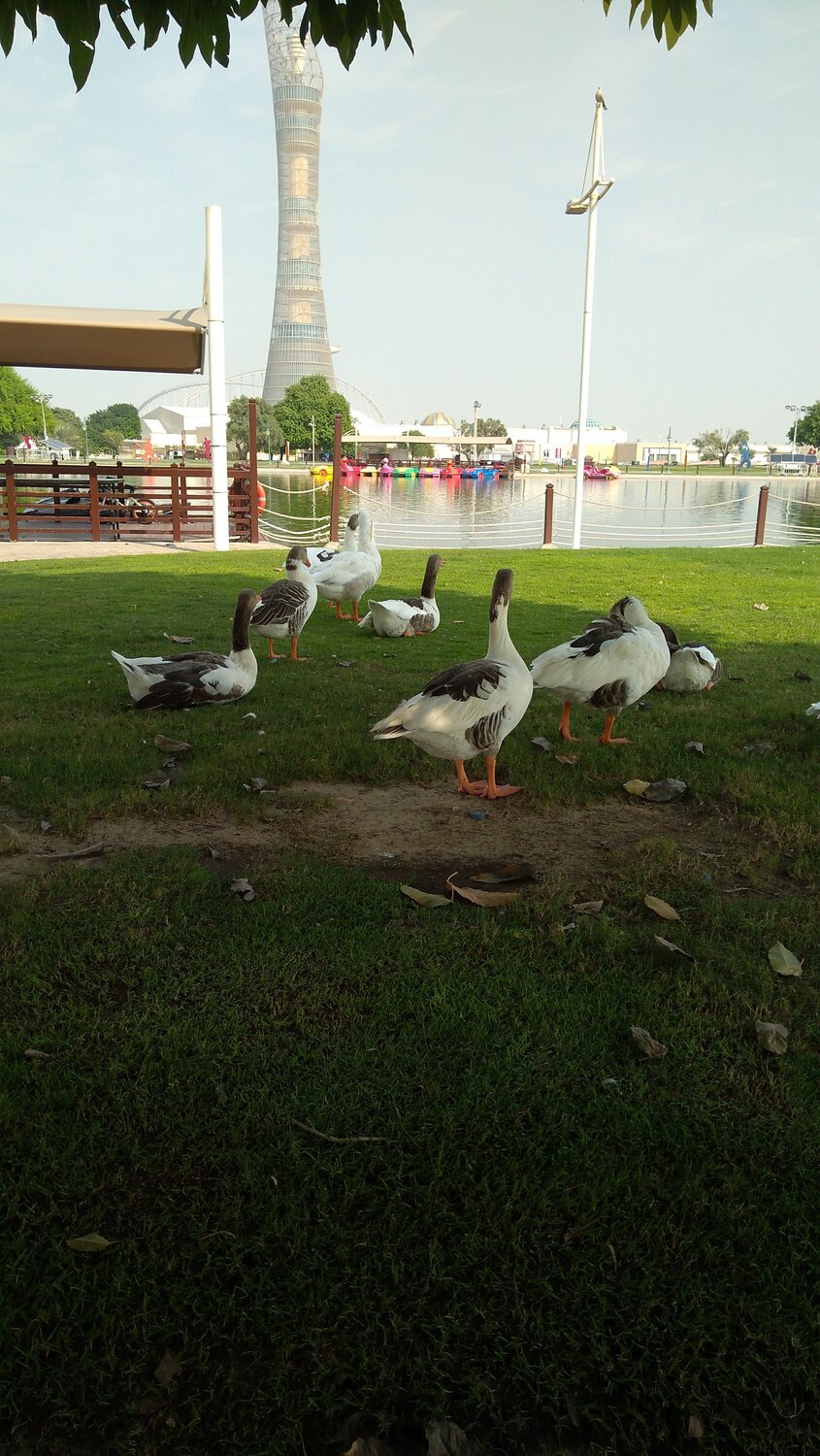 Photo #3957088