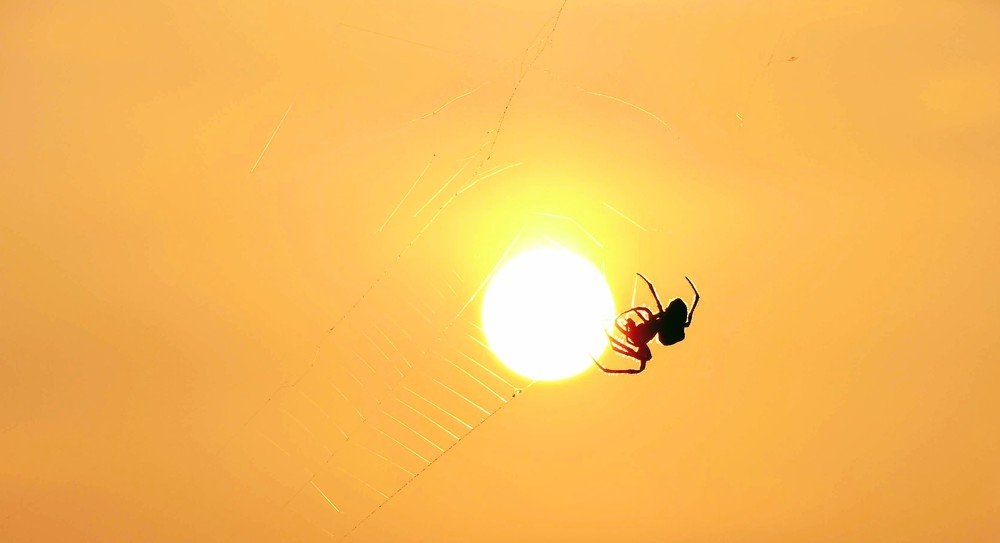 Photograph by Александр