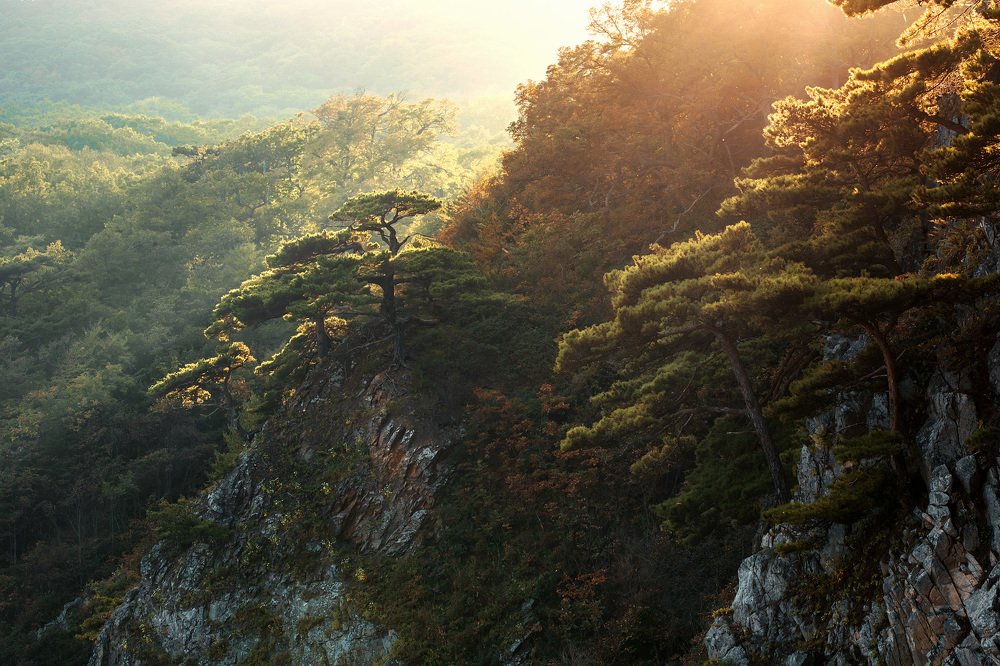 Photograph by Андрей Кровлин