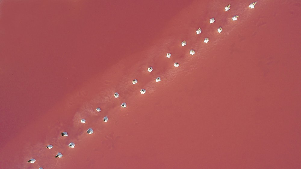 Photograph by Альбина Колодяжная