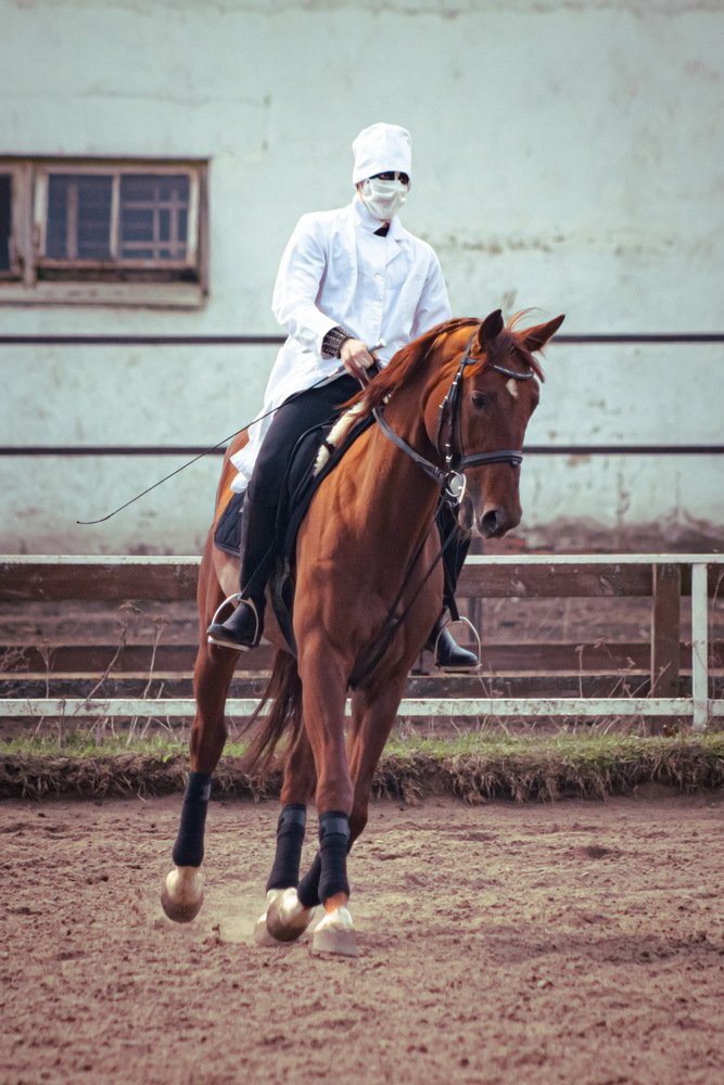 Photograph by Юлия Долгина