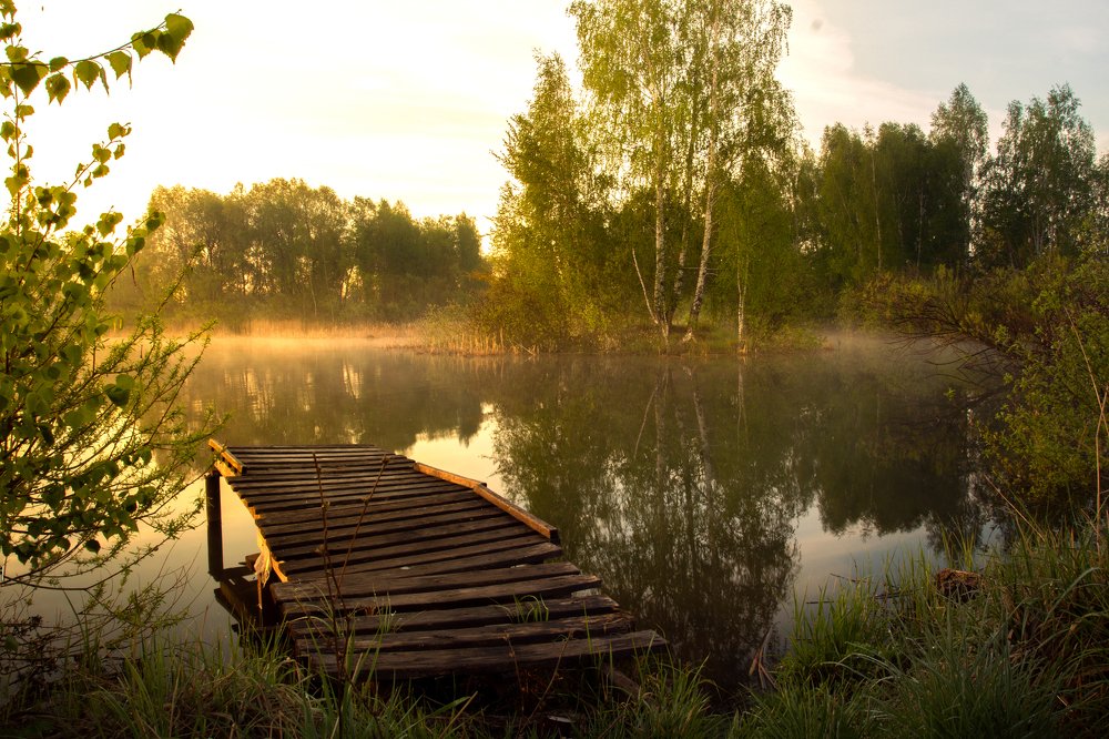 Утренний сон