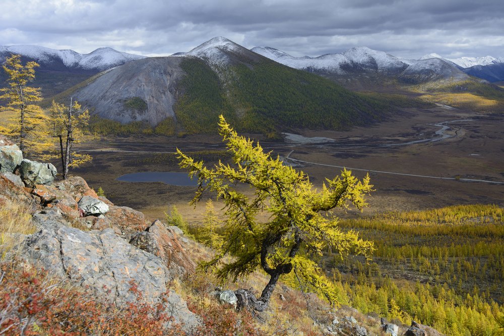 Photograph by Елена Вторушина